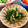ぼんちゅう食堂's cooksnap of when they made 春菊と胡桃の和え物♪.