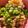 m11m11's cooksnap of when they made 焼鳥屋さん風せせりポン酢.