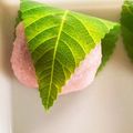 SUMITSU's cooksnap of when they made 桜餅(道明寺粉・レンジ使用).