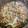 クック8201K8☆'s cooksnap of when they made たけのこの穂先とおかかの山椒煮.