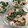 みこひろママ's cooksnap of when they made 簡単！3分！竹輪とほうれん草の醤油マヨ.