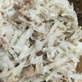 ﾌﾞﾚﾝﾀﾞ's cooksnap of when they made ＊基本の切り方＊せん切り（大根）.