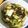 クック083103☆'s cooksnap of when they made 白菜消費！塩昆布漬け.