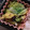 お願いひつじ's cooksnap of when they made 白菜の梅かつお和え.