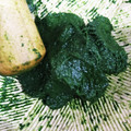 komato33's cooksnap of when they made よもぎの下処理.