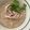 moyotomato's cooksnap of when they made chicken congee ～中華鶏粥.