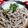 みっくママ's cooksnap of when they made 玉ねぎ天ぷらのせ蕎麦.