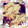 さっちゃーーーん's cooksnap of when they made 食堂の半熟とろとろ玉子丼♫.