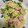 ☆たにし★'s cooksnap of when they made 小松菜のふわとろ卵炒め☾.