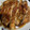 クック9P6O5D☆'s cooksnap of when they made すき焼きのタレで照り焼きチキン.