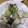 しろたんj's cooksnap of when they made ワラビと生揚げの煮物.