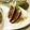 クックHST1BC☆'s cooksnap of when they made ☆大根の千切りのコツ☆.