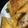 クック9P6O5D☆'s cooksnap of when they made 余った春巻きの皮で!ポテトコーンチーズ♪.