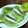ノリノリ♪♪'s cooksnap of when they made いつもと違うキウイ.