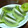 ノリノリ♪♪'s cooksnap of when they made いつもと違うキウイ.