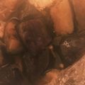 ☆しいたんママ☆'s cooksnap of when they made レンジで簡単☆なすの煮びたし.