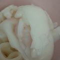 カクヨ's cooksnap of when they made スープジャーで温泉卵♪.