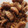 クックXTDK6S☆'s cooksnap of when they made 栗の甘辛煮.