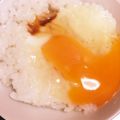 みりん調味料's cooksnap of when they made レンジで一技・味わうＴＫＧ（玉子かけご飯.