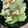＊ono＊'s cooksnap of when they made アボカドと海老の胡麻マヨサラダ.