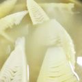 いばらぎ*さとり's cooksnap of when they made 竹の子の水煮（簡単な皮むき＆アク抜き）.