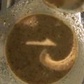 ピコピコキッチン's cooksnap of when they made 肉にも！にんにくピリ辛ゴマドレッシング！.