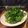 クック5E2Q86☆'s cooksnap of when they made 農家のマサミさん直伝！クレソンサラダ♥️.
