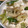 けんよこ's cooksnap of when they made 長ネギと豆腐の炒め煮.