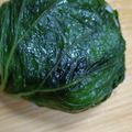 あかぷり's cooksnap of when they made 蕗の葉の塩漬けのおにぎり.