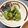 どらど～ら's cooksnap of when they made 本当に簡単！カンタン酢できゅうりの酢の物.