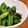 低カロ探検隊's cooksnap of when they made スナップエンドウの塩昆布和え.
