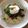 spitze's cooksnap of when they made 余った麻婆茄子で簡単素麺♪.