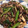 miiko大好き's cooksnap of when they made 小松菜と牛肩のオイスターソース炒め。.
