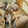 クックT5WEIE☆'s cooksnap of when they made ♪美味しい！鶏肉里芋フキうど筍の簡単煮物.