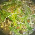arinko315's cooksnap of when they made 鶏ももとしめじのあんかけ丼.