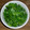 クックUJQEMF☆'s cooksnap of when they made 簡単☆絹さやの塩麹煮びたし.
