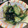 しまちょ★'s cooksnap of when they made 塩昆布ときゅうりで簡単漬け物.