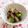 バカリャウ's cooksnap of when they made 青梗菜の梅肉塩昆布和え.