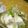 ぽんぷー's cooksnap of when they made 旬の小カブとハムのECOマリネ.