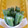 笑顔のまんま's cooksnap of when they made いんげんの茹でかた.