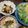 2児ママみきてぃ's cooksnap of when they made レンジで簡単♪茄子のおかか和え＊お弁当に.