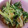 ★☆桜ママ☆★'s cooksnap of when they made *＊簡単一品*＊水菜と油あげの煮浸し✾.