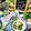 虹色♪︎ちゅーりっぷ's cooksnap of when they made ご飯が進む大根葉の漬物♪.