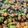 あおいんこ☾★'s cooksnap of when they made ひじき大豆枝豆コーンのかつおだし和え.