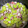 さとゆき23's cooksnap of when they made ホクホク☆そらまめとタコの炊き込みごはん.