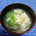 みれいく's cooksnap of when they made シャキシャキ水菜と海老焼売の塩スープ.
