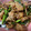 ☆苹凛☆'s cooksnap of when they made 10分で完成！豚肉とニンニクの芽炒め.