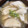 わたるんママ's cooksnap of when they made きのこによるきのこだけのきのこのお味噌汁.