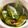 3kids❁mama's cooksnap of when they made お庭のスイートバジルdeバジルオイル♪.