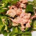 マルコとジーナ's cooksnap of when they made ダシダで無限ピーマン.
